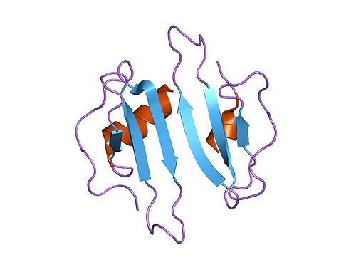 500px-PDB_1o7z_EBI